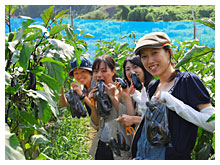 田舎体験の様子