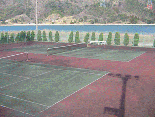 和田テニスコート