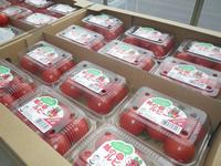 tomato2
