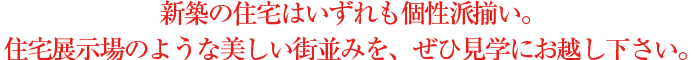 新築の住宅はいずれも個性派揃い。住宅展示場のような美しい街並みを､ぜひ見学にお越し下さい。