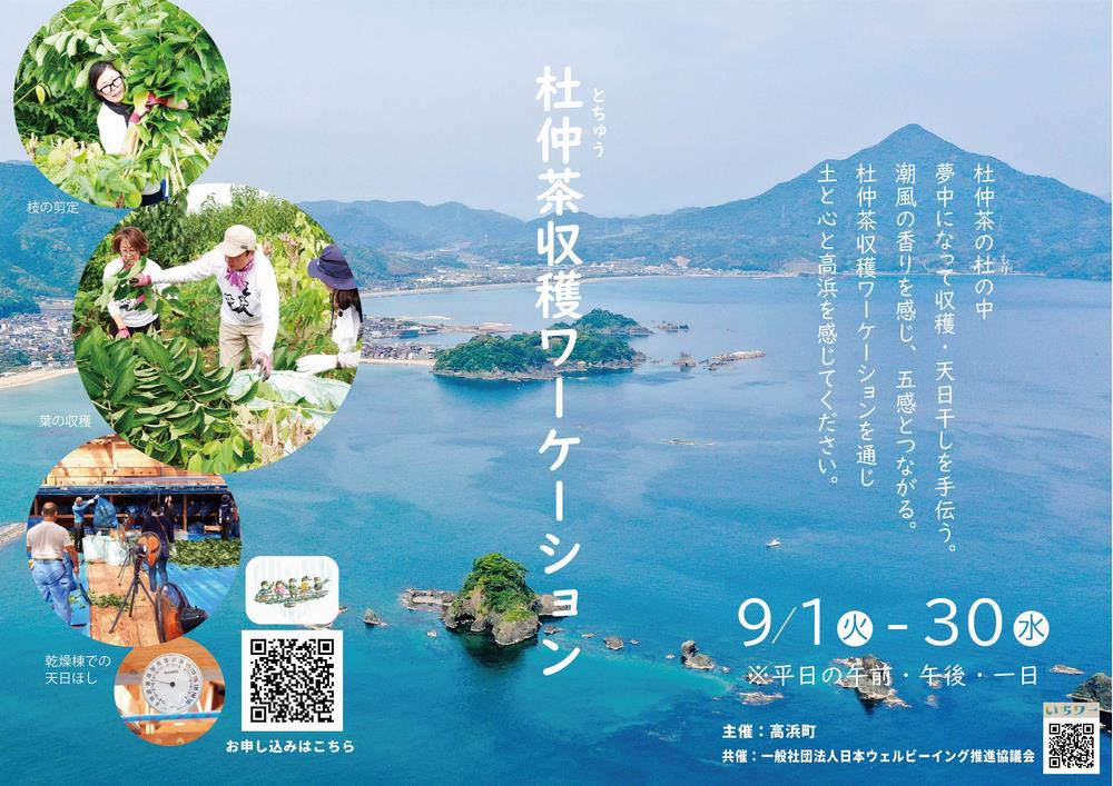 tochu01